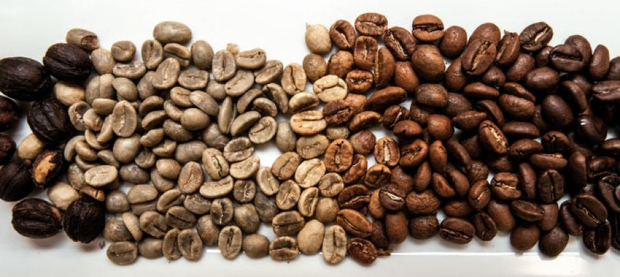 SUPRACAFÉ RECIBE EL RECONOCIMIENTO HÉROES DE LA CAFICULTURA DE LA FEDERACIÓN NACIONAL DE CAFETEROS DE COLOMBIA - Supracafe