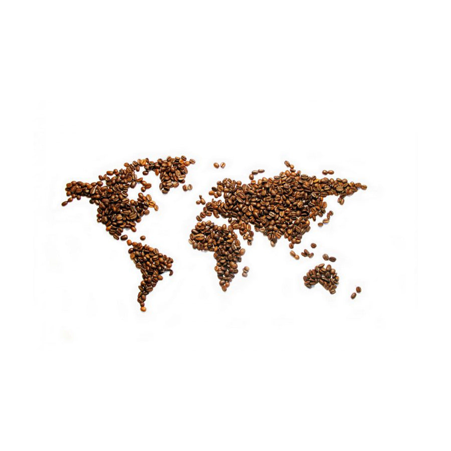 DÍA INTERNACIONAL DEL CAFÉ: SUPRACAFÉ, EJEMPLO DE SOSTENIBILIDAD Y CALIDAD - Supracafe