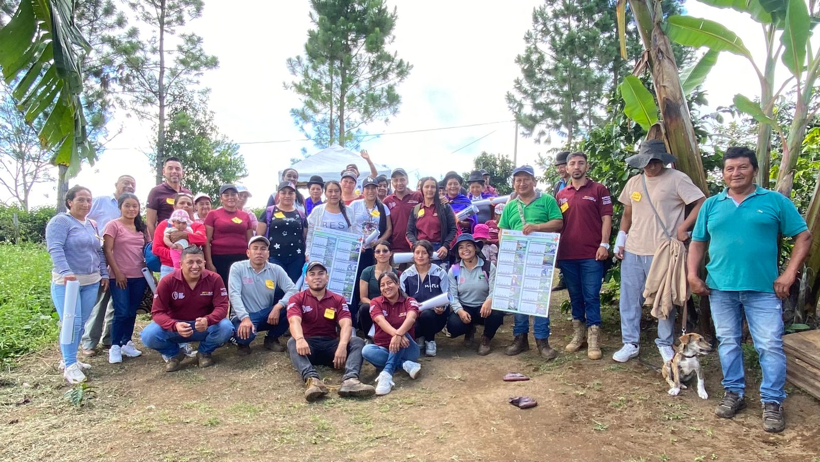 Café de Colombia AMUCC Fairtrade