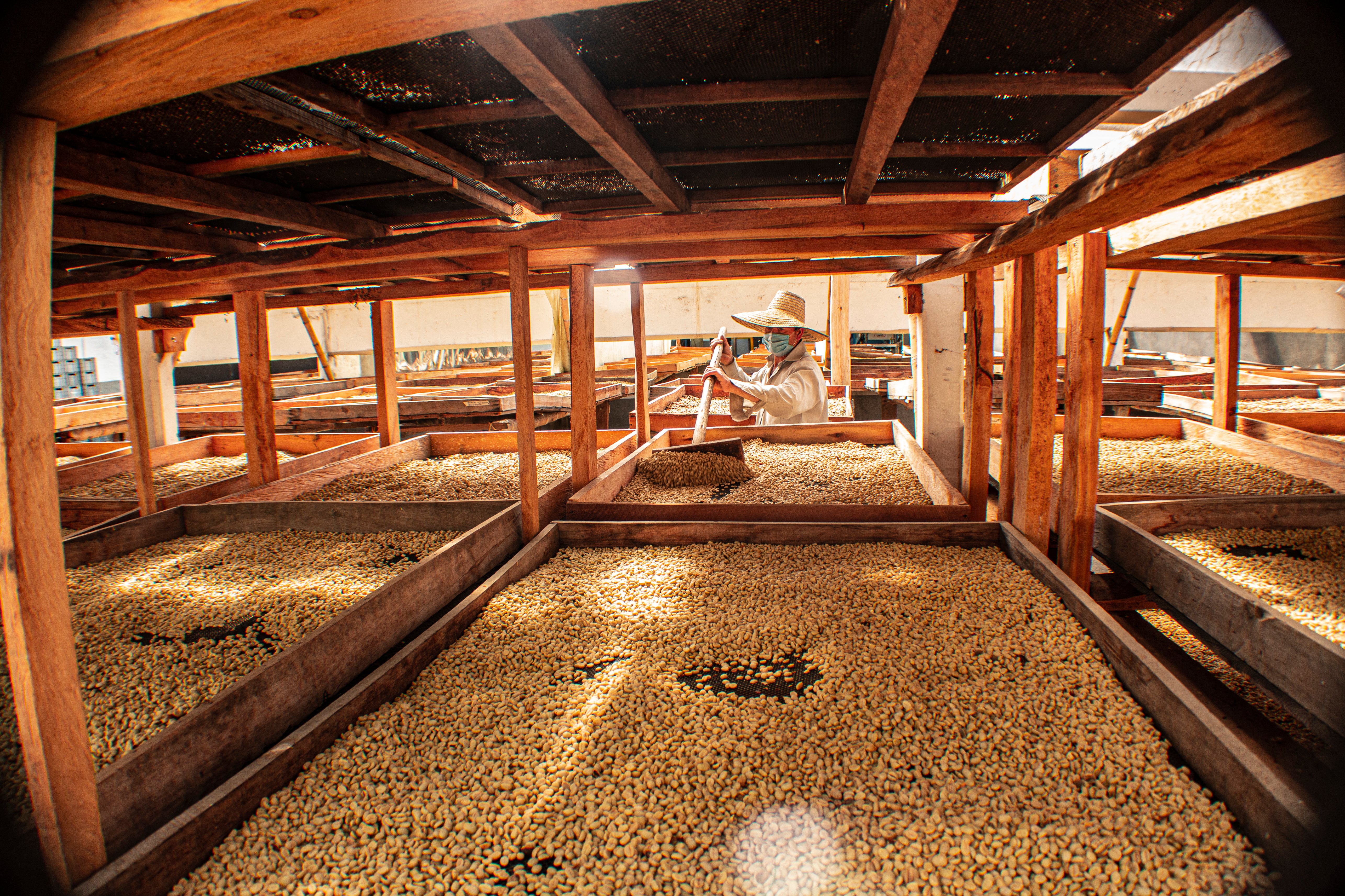 Café de Colombia de cosecha propia Hacienda Supracafé