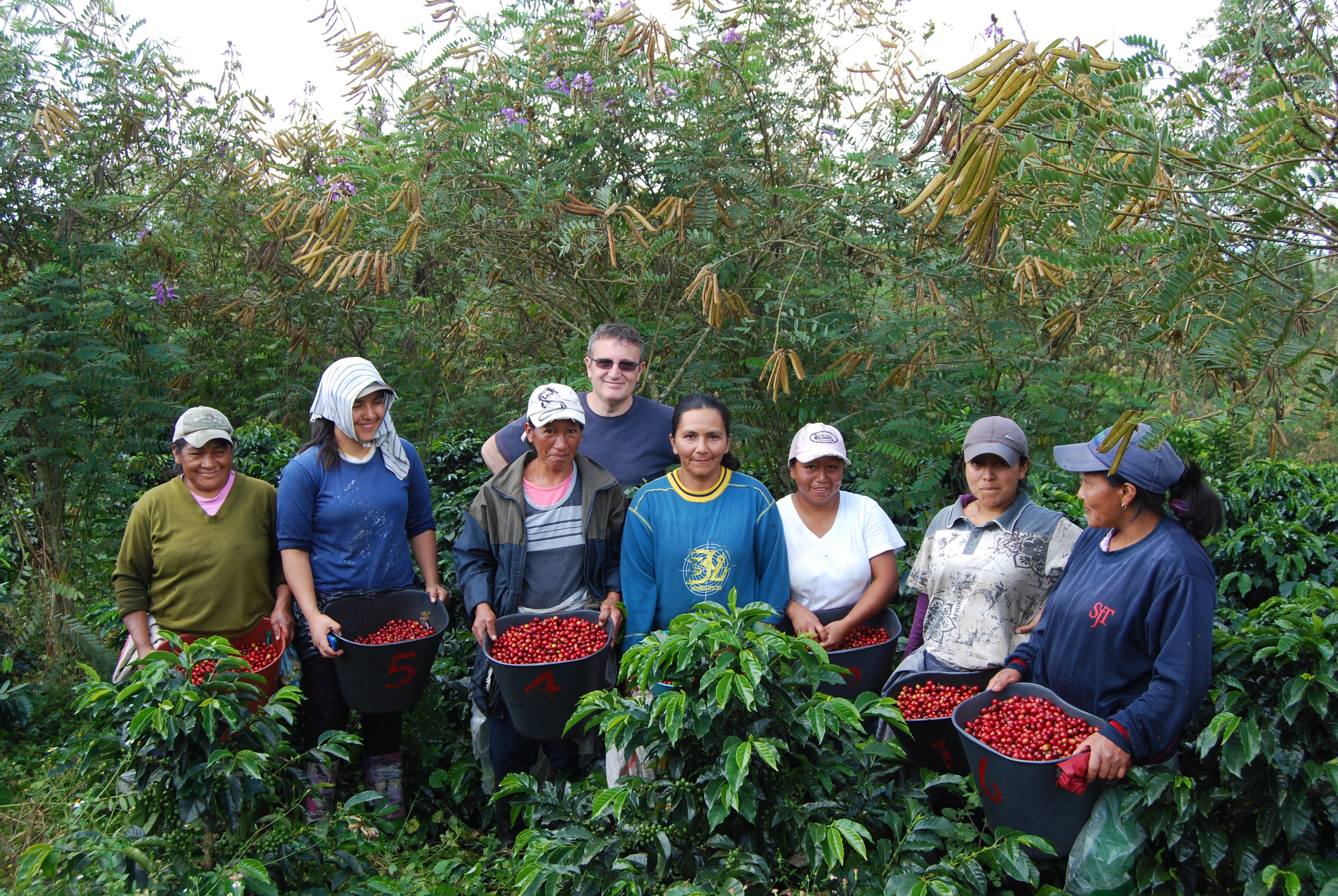 Café de Colombia AMUCC Ecológico y Fairtrade