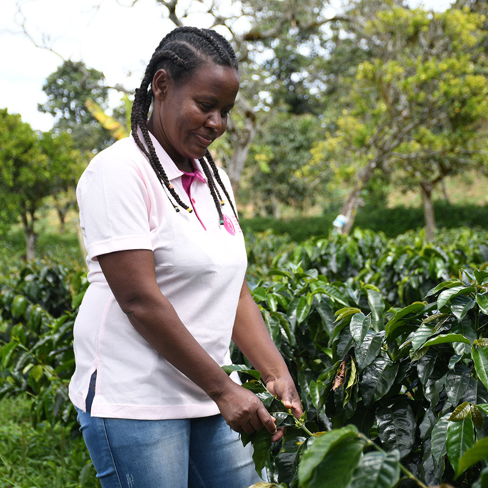 Café de Colombia AMUCC Fairtrade