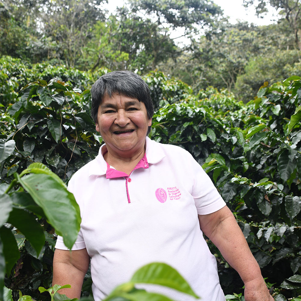 Café de Colombia AMUCC Fairtrade