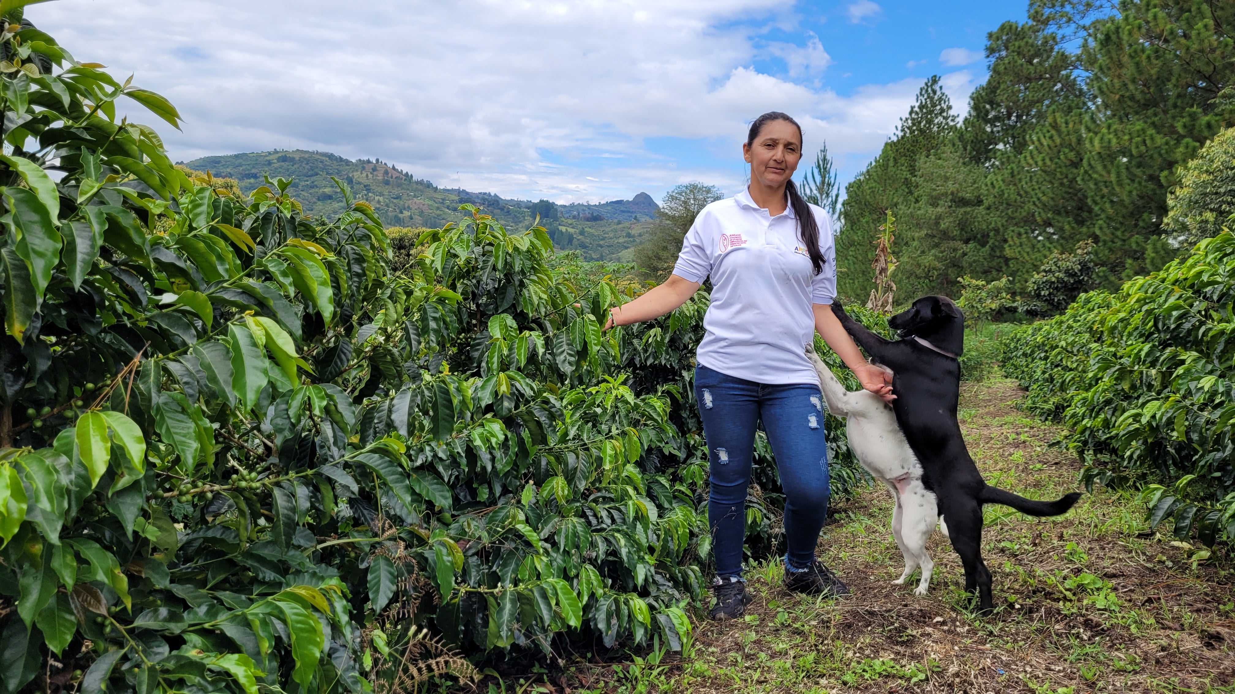 Café de Colombia AMUCC Ecológico y Fairtrade