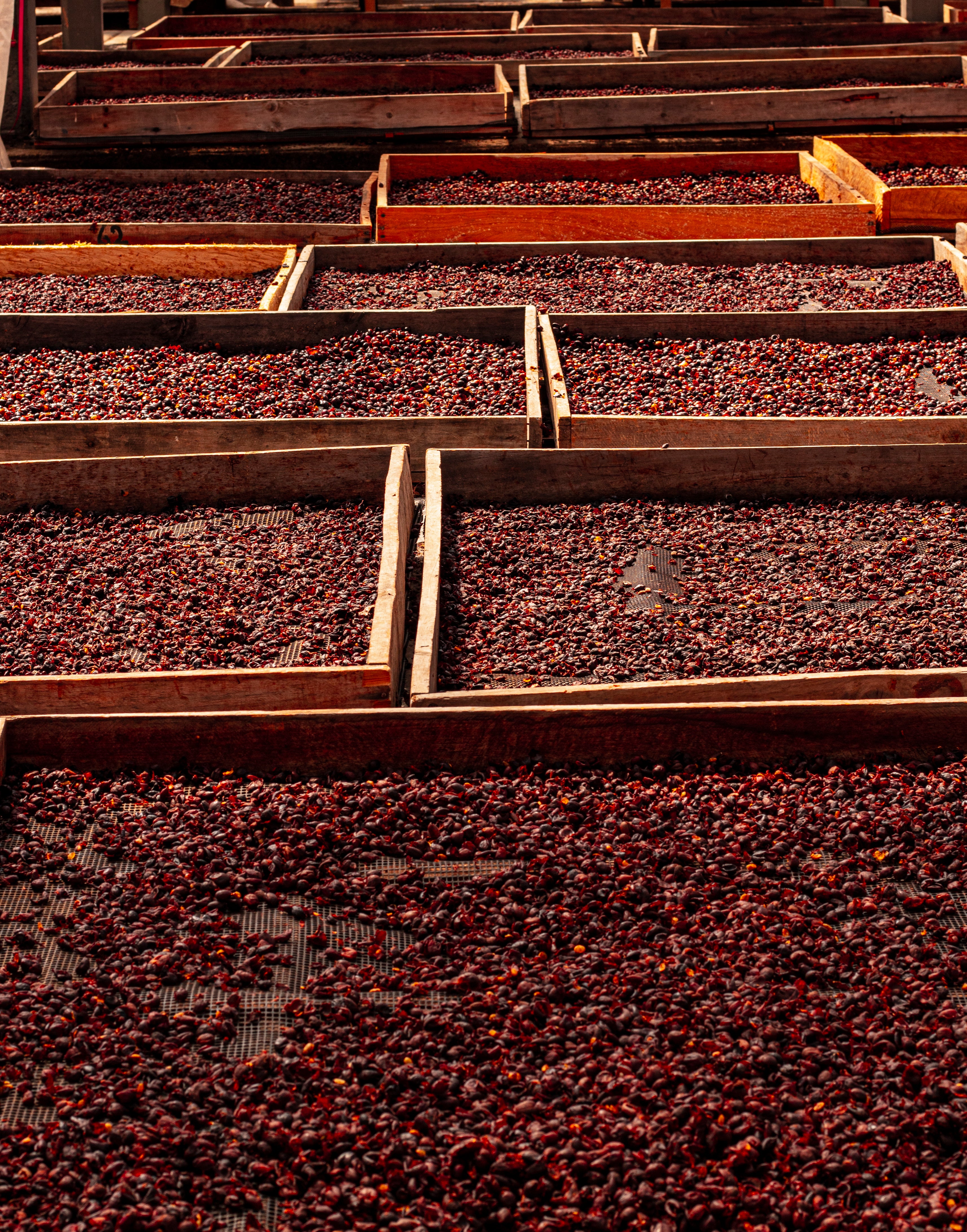 Café de Colombia de cosecha propia Hacienda Supracafé