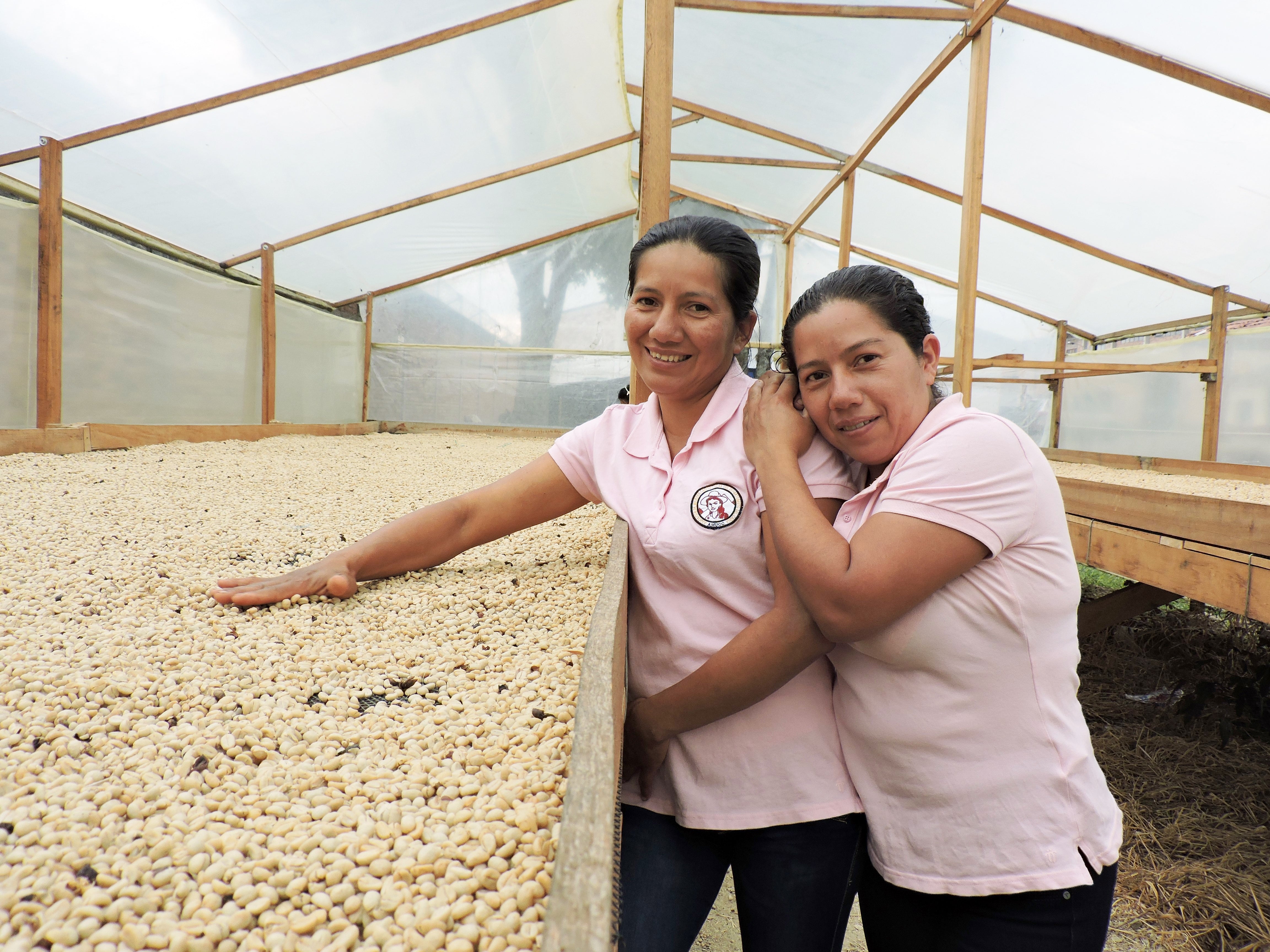 Café de Colombia AMUCC Ecológico y Fairtrade
