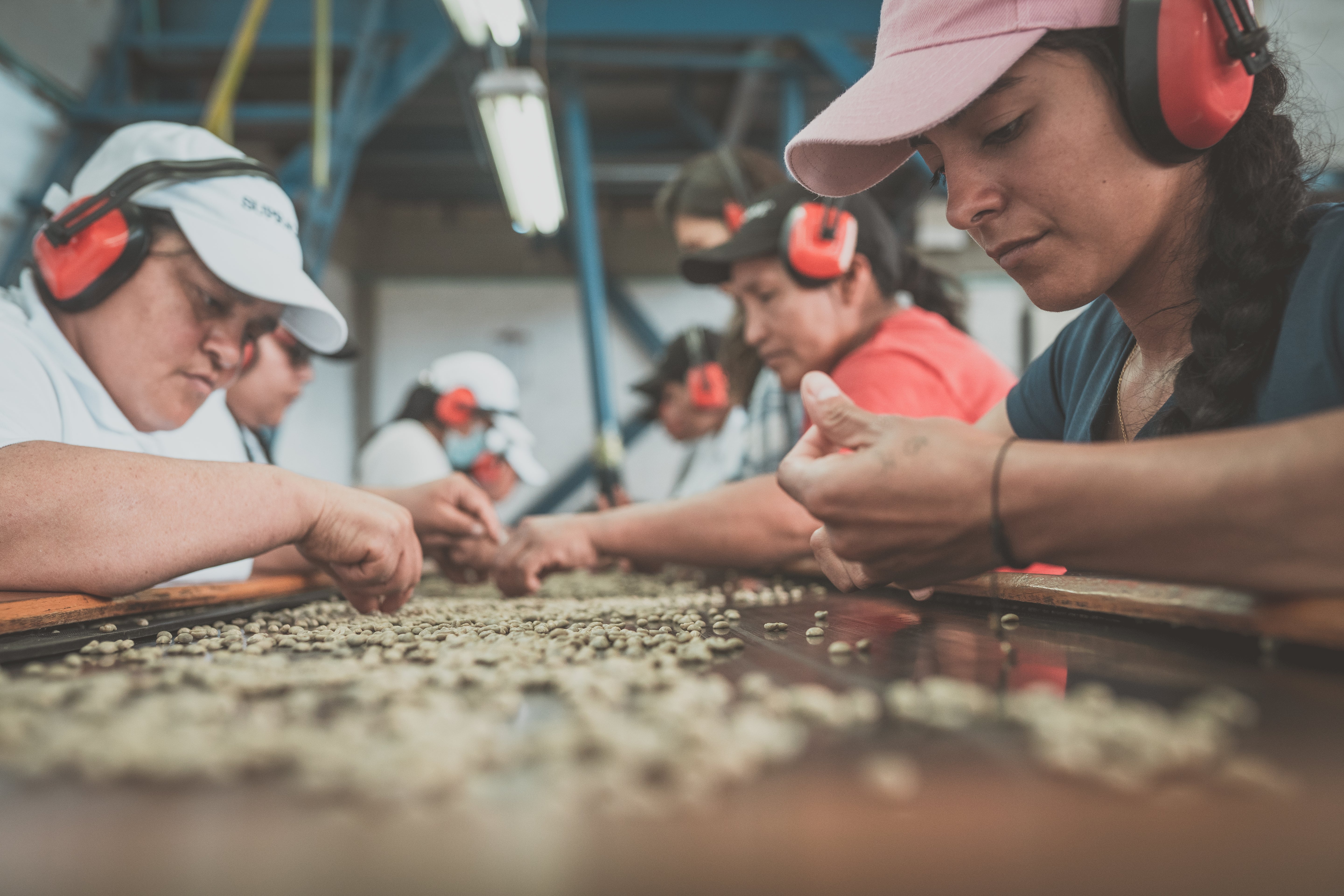 Café de Colombia de cosecha propia Hacienda Supracafé
