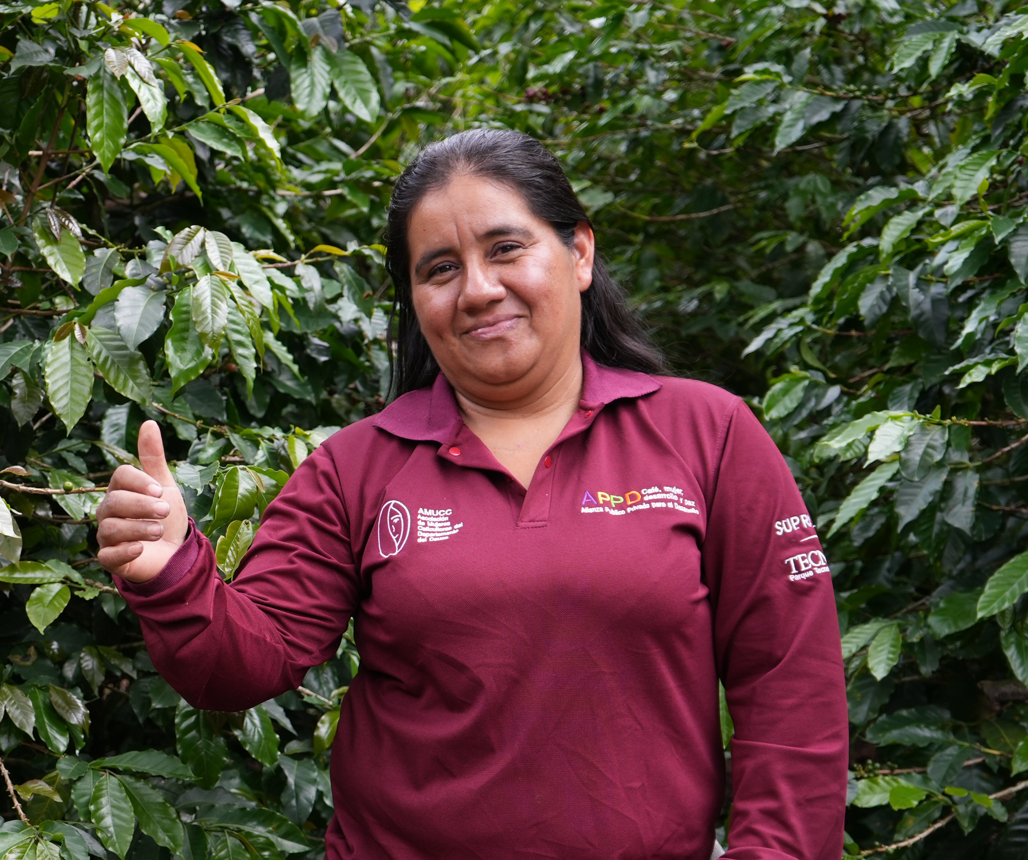 Café de Colombia AMUCC Ecológico y Fairtrade